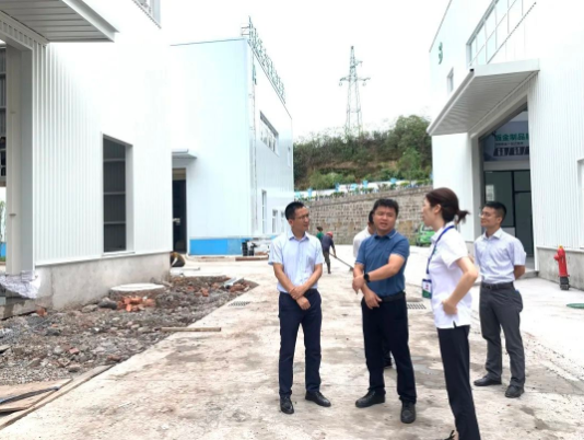 大安區委常委、統戰部部長唐正濤蒞臨沃輪電氣調研指導工作